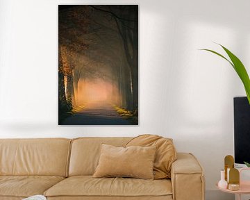 Sunbeams in autumn by Marjoke Seidel