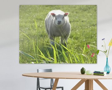 Sheep in the Meadow von Femke Vergeer