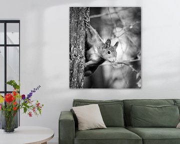 Portret van een eekhoorn in zwart-wit van Marjolein van Middelkoop