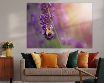 Bumblebee on lavender in sunlight by Anam Nàdar