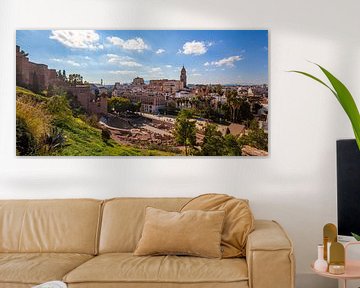 Malaga Panorama historisch centrum van Gerard van de Werken