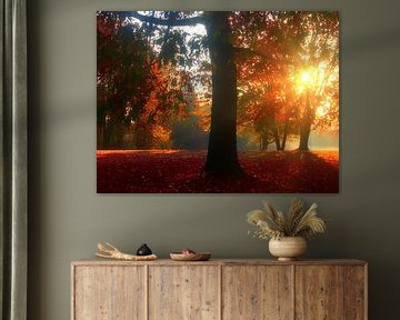 Morningsun