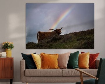 Schote Hooglander met regenboog van Dustin Musch