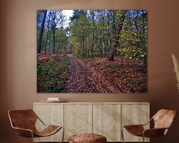 in het bos 4 van Edgar Schermaul