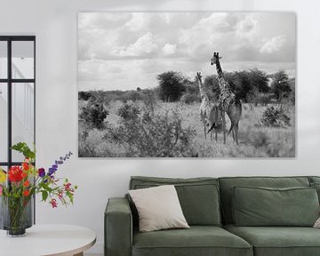Giraffenpaar van Ilse van den Berg