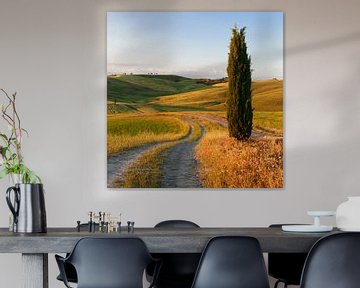 Toscaans landschap met cipressen, Toscane, Italië