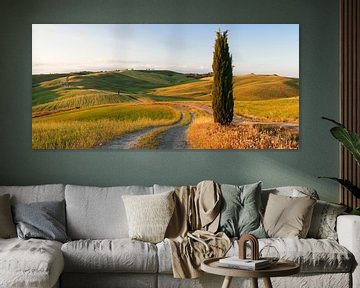 Toscaans landschap met cipressen, Toscane, Italië van Markus Lange