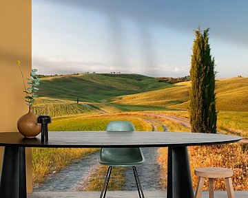 Toscaans landschap met cipressen, Toscane, Italië van Markus Lange