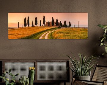 Landhuis met cipressen bij zonsondergang, Toscane, Italië van Markus Lange