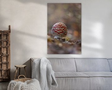 Fliegenpilz mit schönem Herbstbokeh von John van de Gazelle fotografie