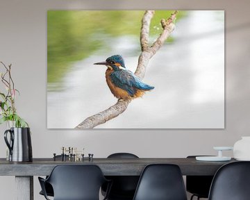 The kingfisher in the Zouweboezem by Merijn Loch