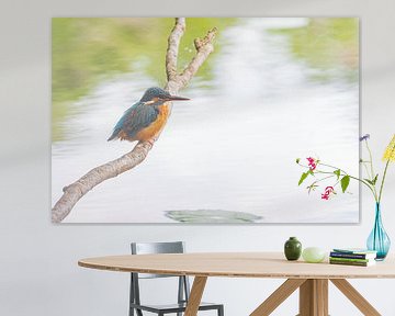 The kingfisher at his hunting spot by Merijn Loch