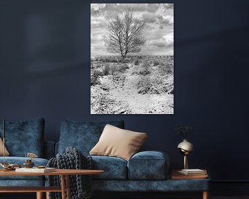Winterlandschap met eenzame boom in de sneeuw bedekte heide 1
