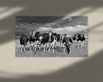 Neugierige Kühe auf einer Wiese gegen Himmel mit dramatischen Wolken von Tony Vingerhoets
