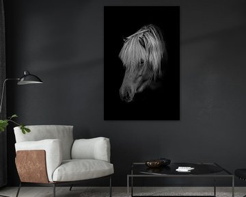 Pony in schwarz-weiß mit schwarzem Hintergrund