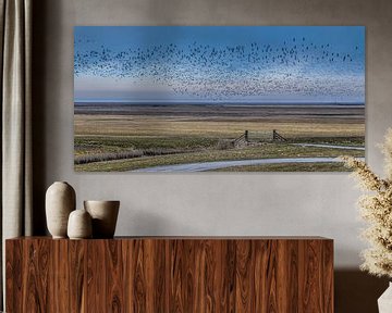 Het buitendijkse natuurgebied  "Het Noorderleeg" met een grote zwerm vogels. van Harrie Muis