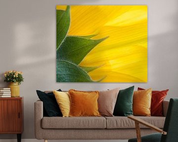 Detail einer Sonnenblume von BYLDWURK