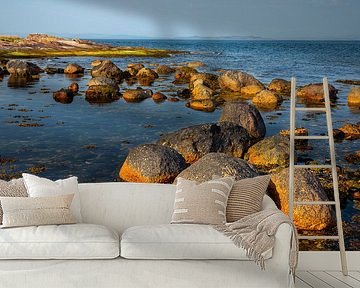 Küste der schottischen Insel Arran - 1 von Adelheid Smitt