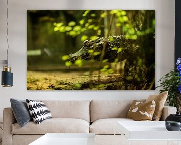 Crocodile by Dirk Herdramm