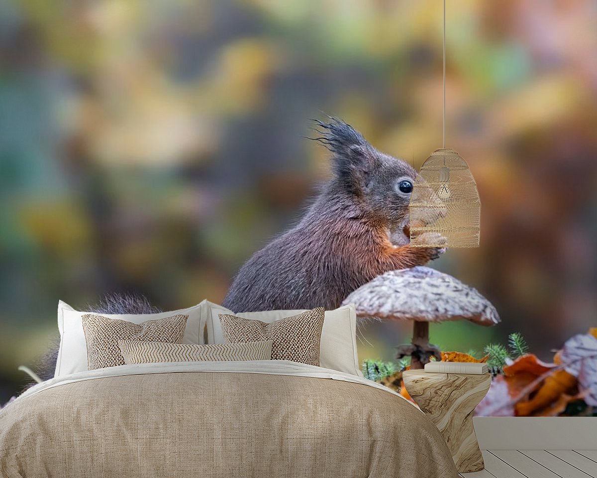 Raumvorschau
