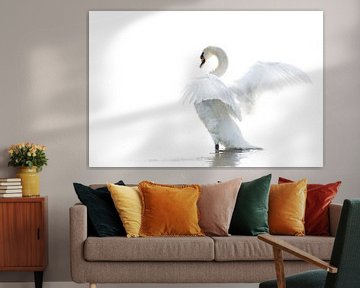 Wild white swan in high key by Albert Beukhof