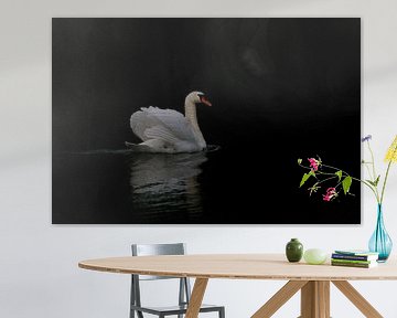 White wild swan low key by Albert Beukhof