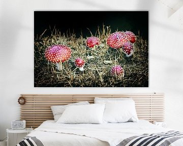 Familiefeestje van Jan van der Knaap