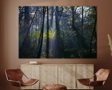 Bomen met contrast