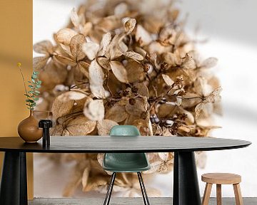 Hortensia licht van Monique Brunt