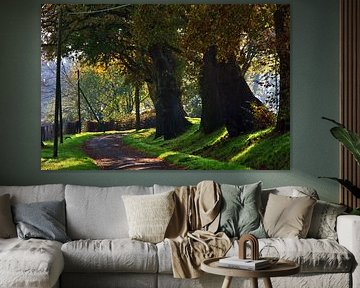 Gelsenkirchen-Resse 3