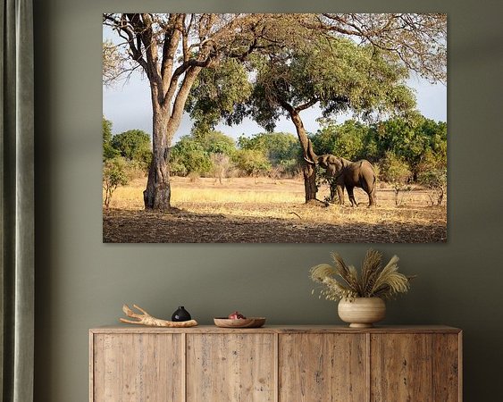 Aperçu de la chambre