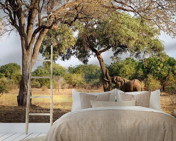 Aperçu de la chambre