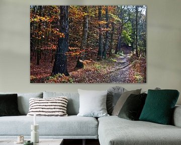 Herfst in het bos 5 van Edgar Schermaul