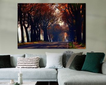 Indian Summer Alley 2