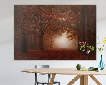 Forêt brumeuse rouge velours. sur Saskia Dingemans Awarded Photographer
