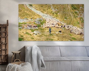 Shepherd with flock and dogs in mountains of Romania by Jessica Lokker