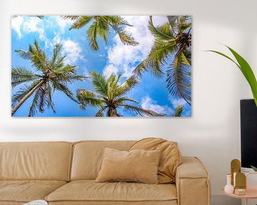 Palmbomen van onderaf gezien in Colombia van Jessica Lokker