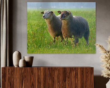 Sisters.... (Twee Schapen) van Caroline Lichthart