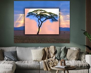 Serengeti