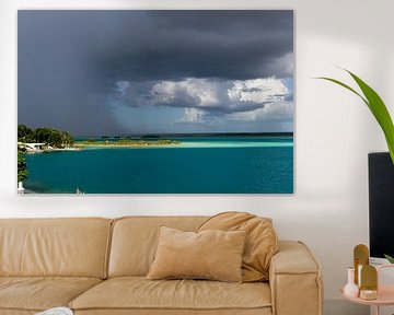 Regen in aantocht by ton vogels