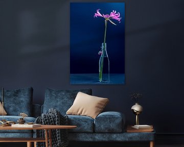 Stilleven bloem in vaas in blauwe achtergrond van Ineke Huizing