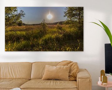 Landschap in de Hoge Venen tegen het licht bij zonsondergang. van Gottfried Carls