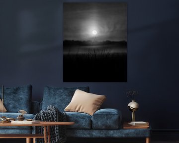 Mistige zonsopkomst in zwartwit van Laura-anne Grimbergen