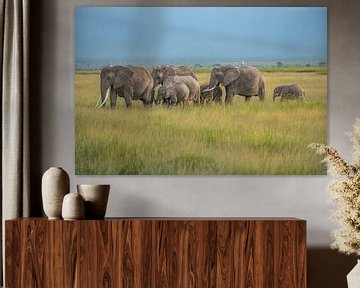 Elefantenherde im Ambroselli National Park