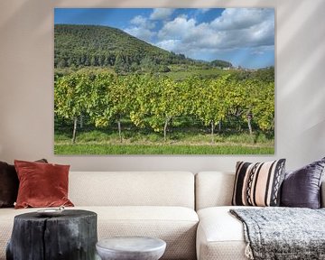 Wine landscape near Gleisweiler in the Pfalz by Peter Eckert