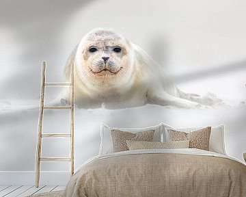 Jonge zeehond op het strand - Natuurlijk Wadden van Anja Brouwer Fotografie