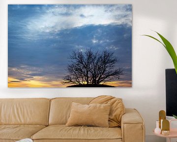 Arbre sur une colline au coucher du soleil sur Frederieke Knol