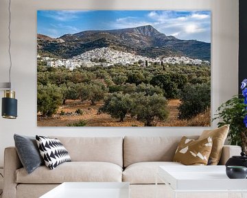 Bergdorp op Naxos van Ronnie Reul