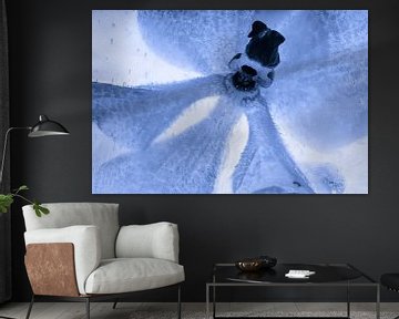 White orchid, tinted blue, in ice 2 by Marc Heiligenstein