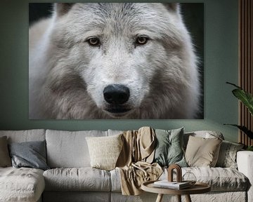 Alpha Arctic Wolf's Head van UnkczY